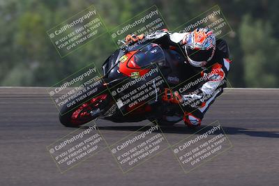 media/Sep-20-2025-TrackDaz (Sat) [[27f0cde673]]/A Group/11am (Turn 2)/